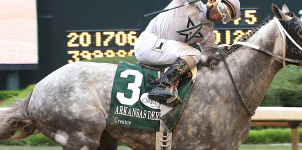 Creator's 2016 Preakness Stakes Odds Review and Prediction