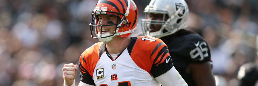 The Bengals will be favorites against the Cardinals in NFL Week 5.