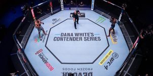 Dana White's Contender Series 38 Betting Analysis