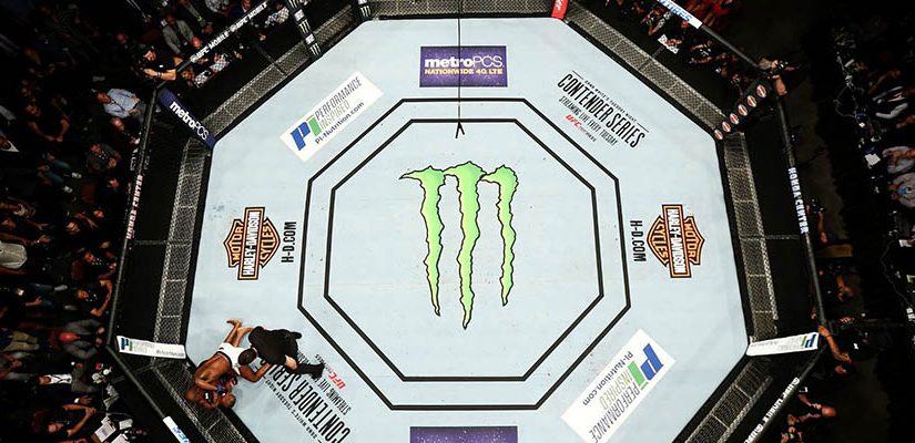 Dana White's Contender Series Week 9 Betting Analysis