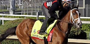 2015 Preakness Horse Racing Betting Odds on Danzig Moon