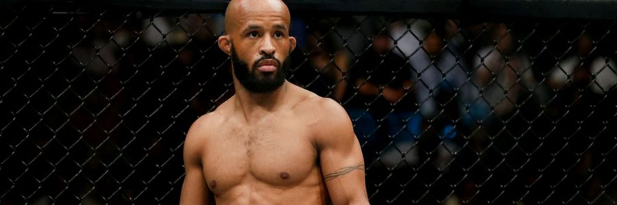 Demetrious Johnson is a huge favorite at the UFC 227 Odds.