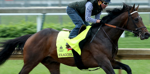 Exaggerator's 2016 Preakness Stakes Betting Profile