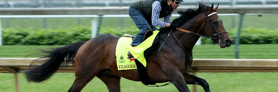 A Look at the Betting Favorites to Win the 2016 Preakness Stakes