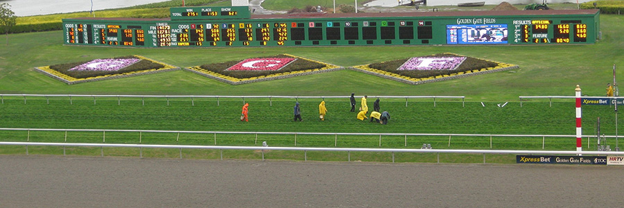 Golden Gate Fields Horse Racing Odds & Picks for Friday, May 15