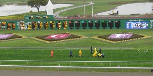 Golden Gate Fields Horse Racing Odds & Picks for Thursday, May 14