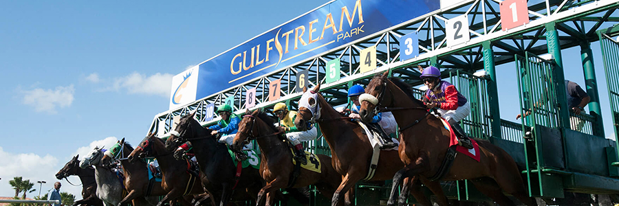 Horse Racing Odds Gulfstream Park March 21 Mybookie Sportsbook