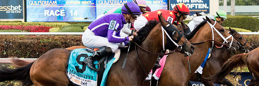 Gulfstream park odds attheraces