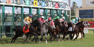 Gulfstream Park Horse Racing Odds & Picks for Friday, April 24