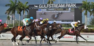 Gulfstream Park Horse Racing Odds & Picks for Friday, July 3
