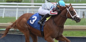 Gulfstream Park Horse Racing Odds & Picks for Saturday, July 4