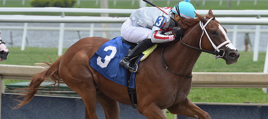 Gulfstream Park Horse Racing Odds & Picks for Saturday, July 4