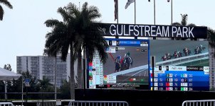 Gulfstream Park Horse Racing Odds & Picks for Saturday, May 23