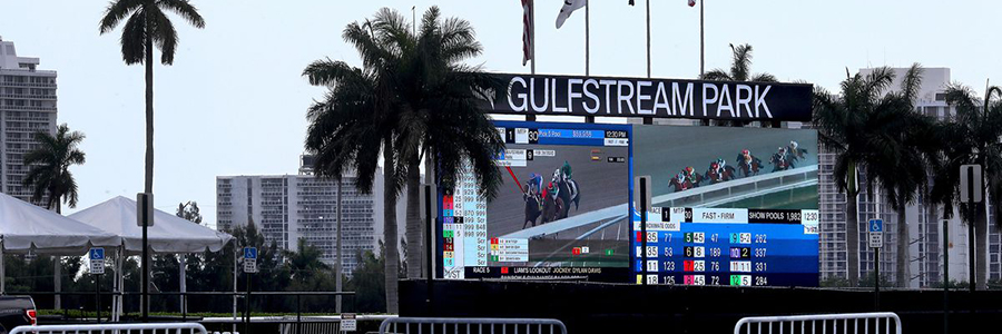 Gulfstream Park Horse Racing Odds & Picks for Saturday, May 23
