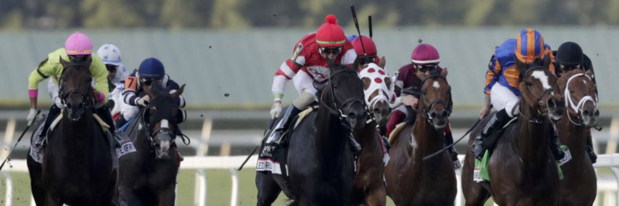 Gulfstream Park Horse Racing Odds & Picks for Saturday, May 30
