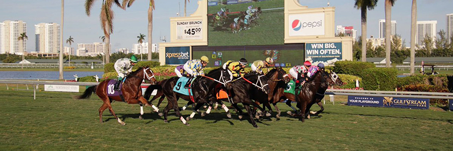 Gulfstream Park – Top Plays for March 19