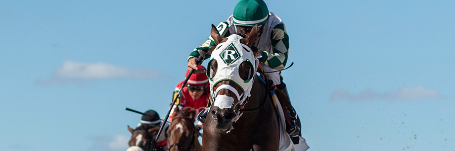 Gulfstream Park Horse Racing Odds & Picks for Friday, May 15