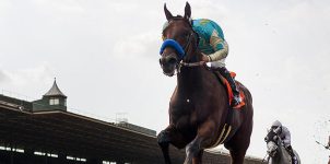 2015 Preakness Horse Betting Odds on American Pharoah