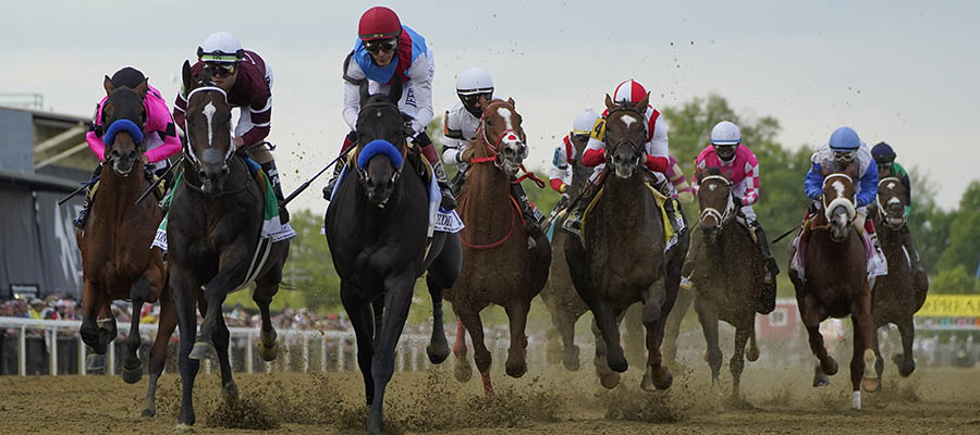 Horse Racing Betting: 2021 Preakness Stakes Recap