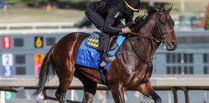 Horse Racing Betting: Early 2021 Triple Crown Expert Analysis
