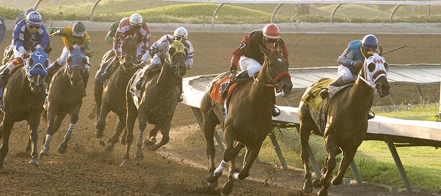 Horse Racing Odds G1 Starlet at Los Alamitos Highlights Weekend Action