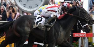JUN 08 - 2017 Belmont Stakes Dark Horses And Longshots