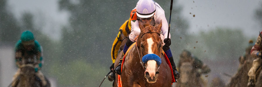 Justify is the 2018 Preakness Stakes Betting favorite.