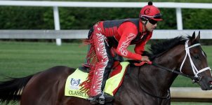 MAY 17 - Horseracing Betting Analysis, Profile & Free Picks For Classic Empire