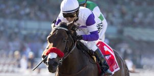 Online Betting 2016 Preakness Preview