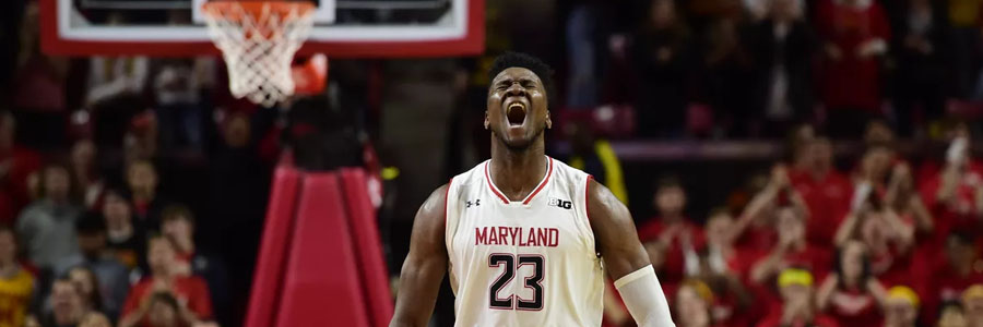 Maryland is one of the locks for the 2019 March Madness.