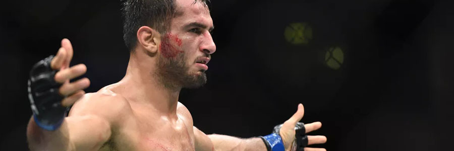 Gegard Mousasi comes in as the favorite for Bellator 228.