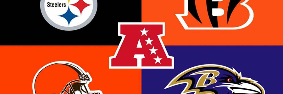 NFL AFC North Divisional Odds After Draft