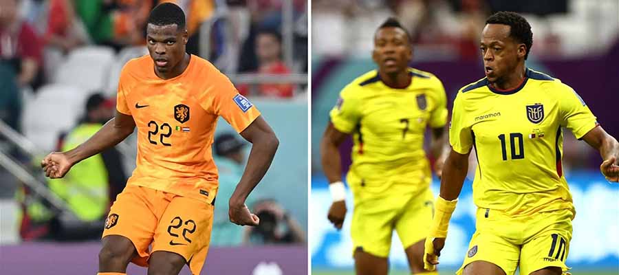 Netherlands vs Ecuador Odds, Pick & Analysis - FIFA World Cup Betting