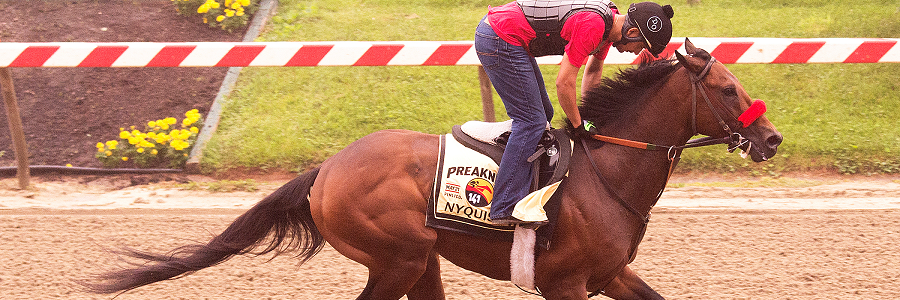 Breaking Down Nyquist's 2016 Preakness Stakes Odds