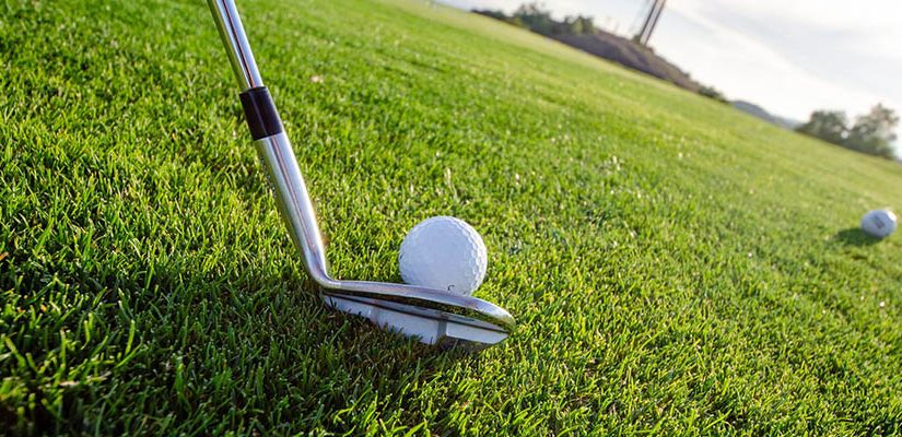 PGA Tour 2021 Palmetto Championship Betting Predictions