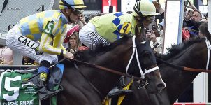 Horse Racing Betting Tips to Handicap the 2018 Preakness Stakes.