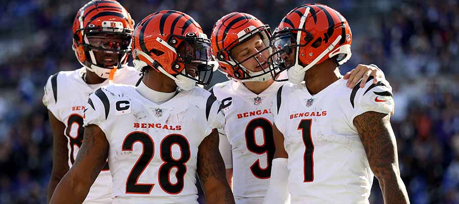 Playoffs NFL Season 2023 Are the Bengals Worth a Postseason Wager
