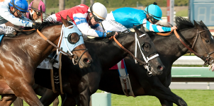 Longshots That Could Spoil The 2016 Preakness Stakes Odds