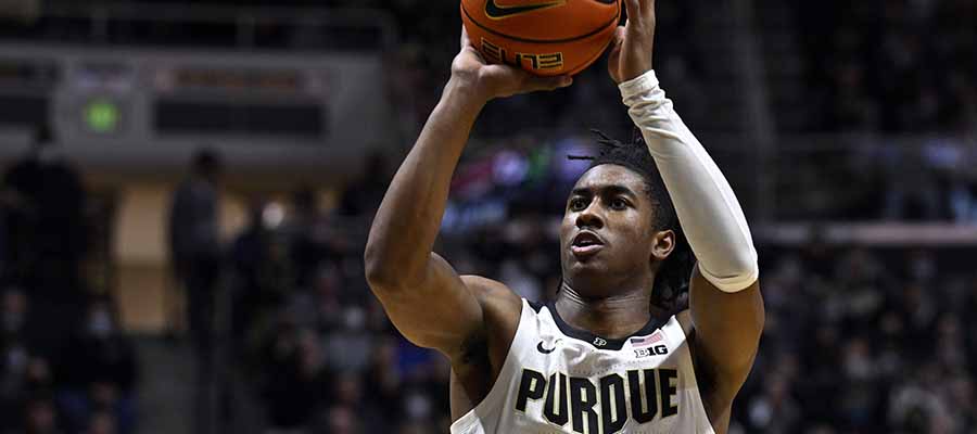 Purdue Boilermakers at Michigan Wolverines College Basketball Preview