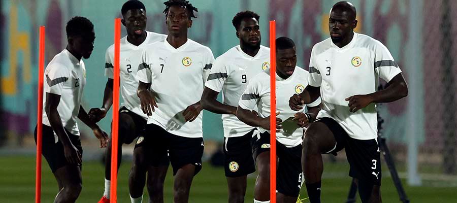 Qatar vs Senegal Odds, Pick & Analysis - FIFA World Cup Betting