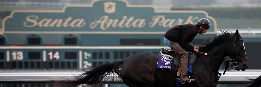 Santa Anita Park Horse Racing Odds & Picks for Sunday, May 17
