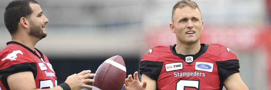 The Stampeders are Canadian Football Betting favorite for Week 11.