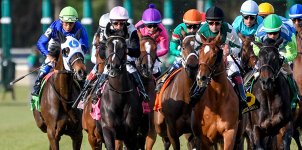 Tampa Bay Downs Horse Racing Odds & Picks for Wednesday, April 29