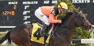 Tampa Bay Downs Horse Racing Odds & Picks for Wednesday, May 20