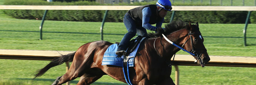 Tenfold is one of the 2018 Belmont Stakes Betting favorites.