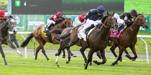 Top 2021 Stakes Races to Bet On From August 6th to August 8th