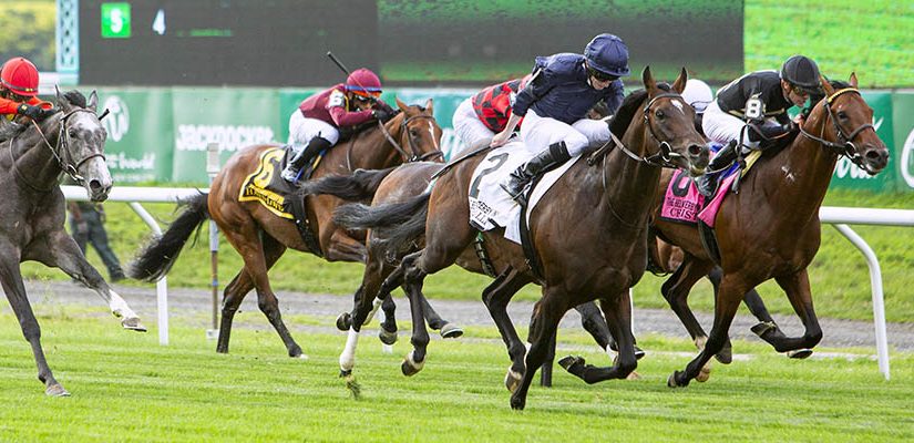 Top 2021 Stakes Races to Bet On From August 6th to August 8th