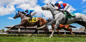 Top 2021 Stakes Races to Bet On From July 16th to July 17th