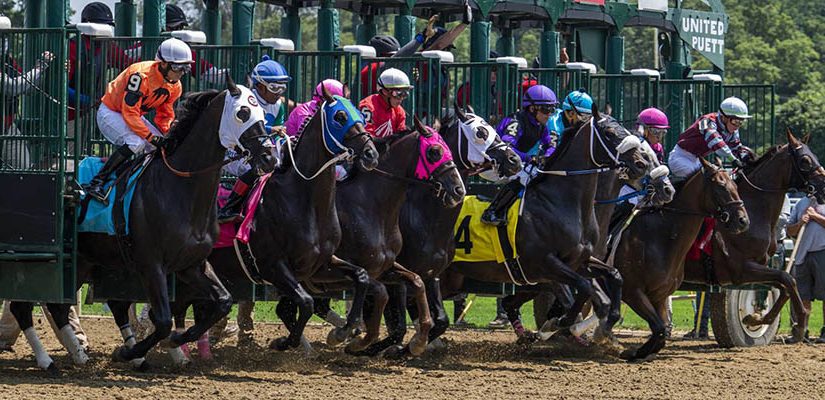 Top 2021 Stakes Races to Bet On From July 23rd to July 25th