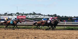 Feature image Top 2021 Stakes Races to Bet On From July 31st to August 1st